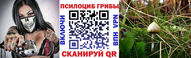 Галлюциногенные грибы Magic Shrooms  Купить где  Кемь 