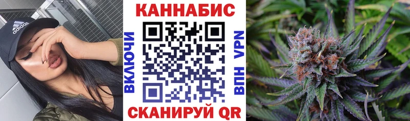 Бошки марихуана сатива  Купить закладки  Кемь 